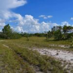 listing image thumbnail with ID 108606