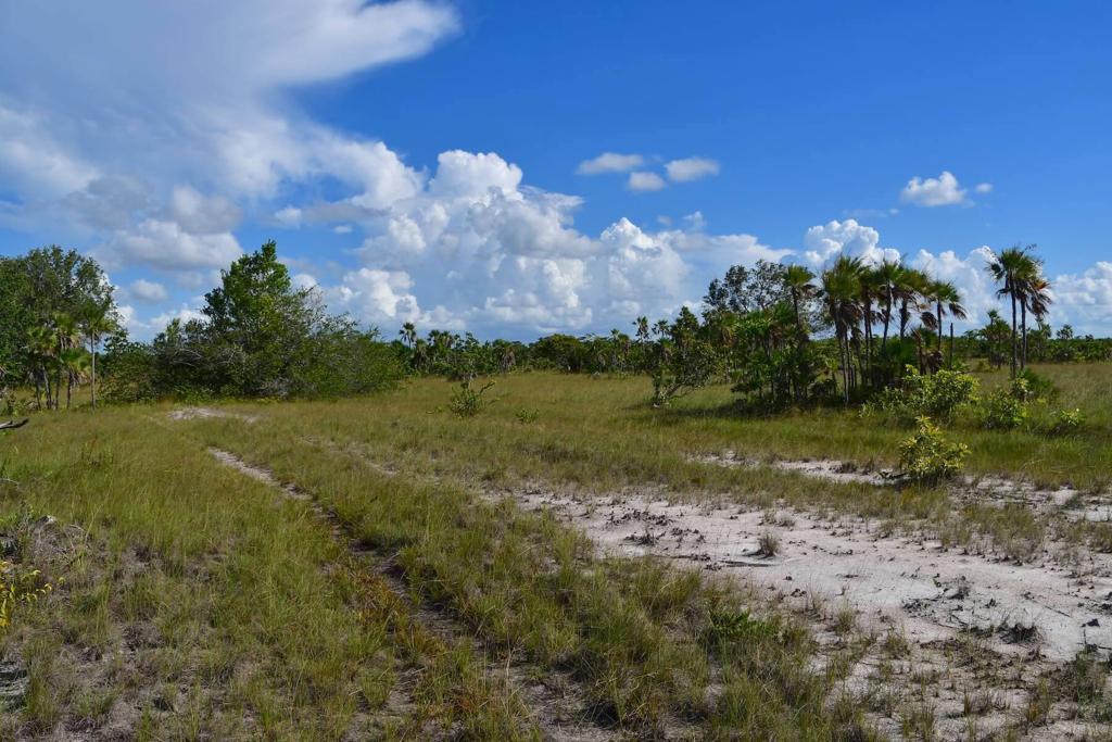 listing image with ID 108606