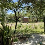 listing image thumbnail with ID 79528