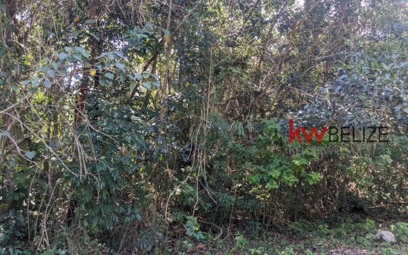 listing image with ID 92843