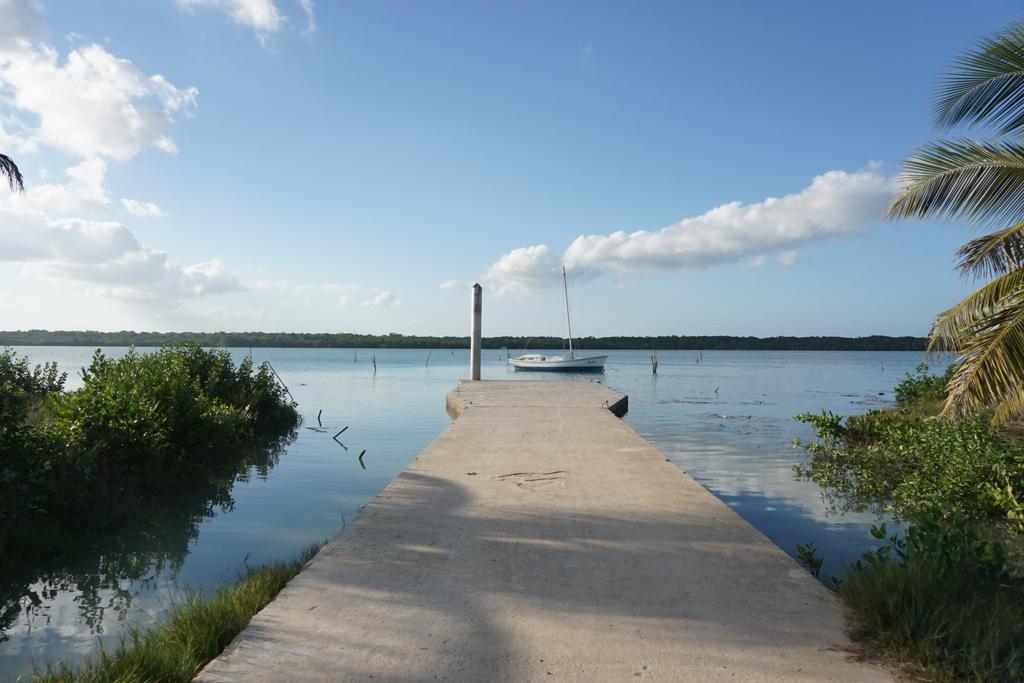 listing image with ID 100955