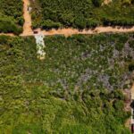 listing image thumbnail with ID 107787