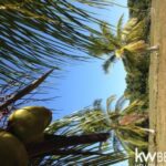listing image thumbnail with ID 75668