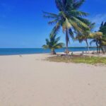 listing image thumbnail with ID 105402