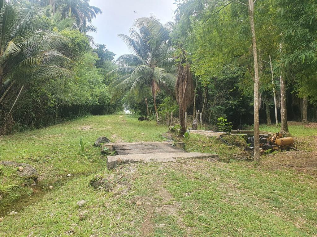 listing image with ID 98284
