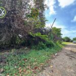 listing image thumbnail with ID 106587