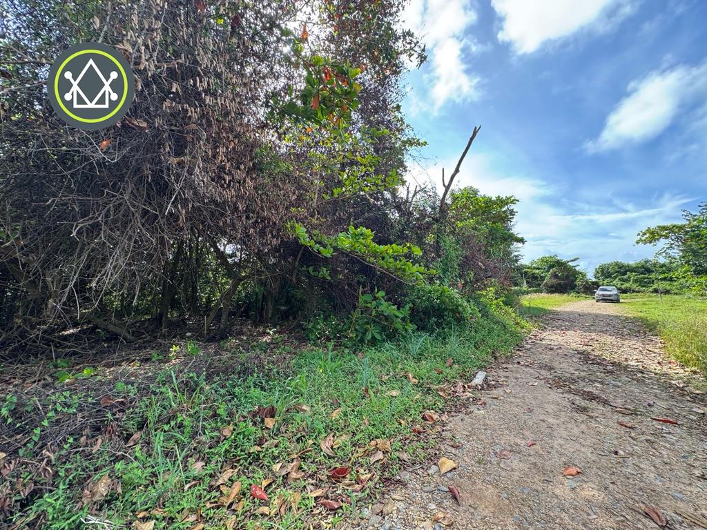 listing image with ID 106587