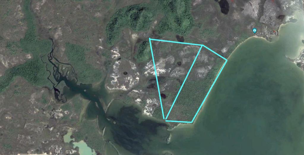 listing image with ID 98700