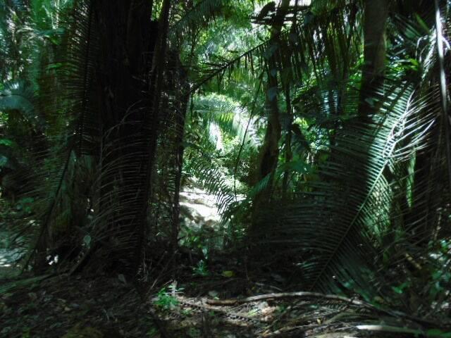 listing image with ID 86738