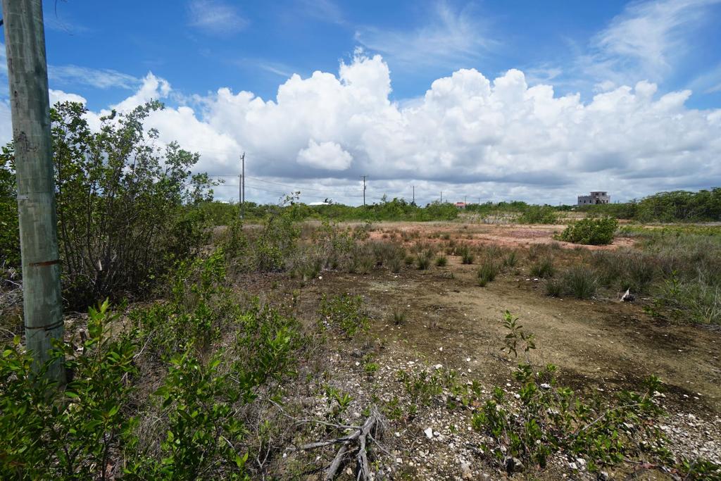 listing image with ID 85763