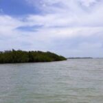 listing image thumbnail with ID 84617