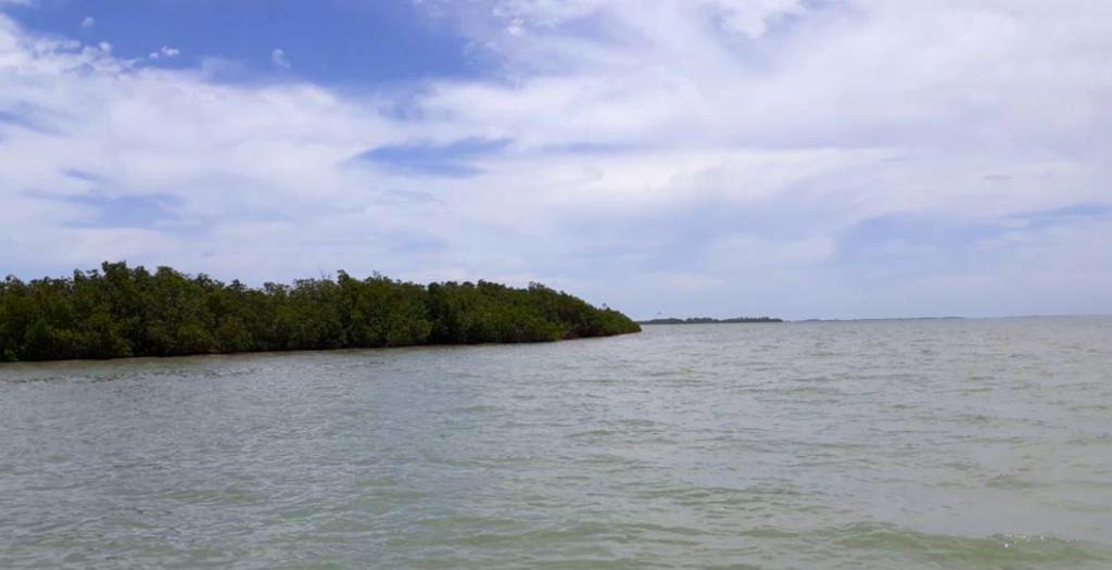 listing image with ID 84617