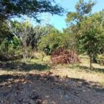 listing image thumbnail with ID 87703