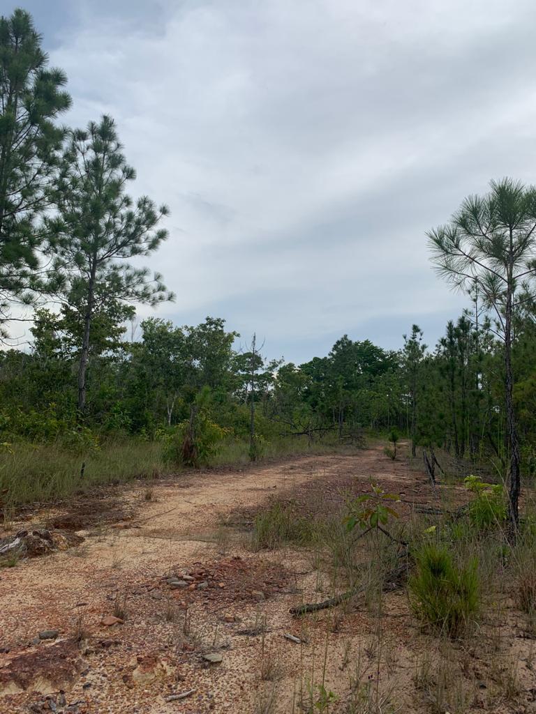 listing image with ID 100774