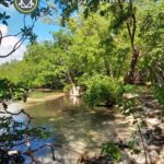 listing image thumbnail with ID 101607