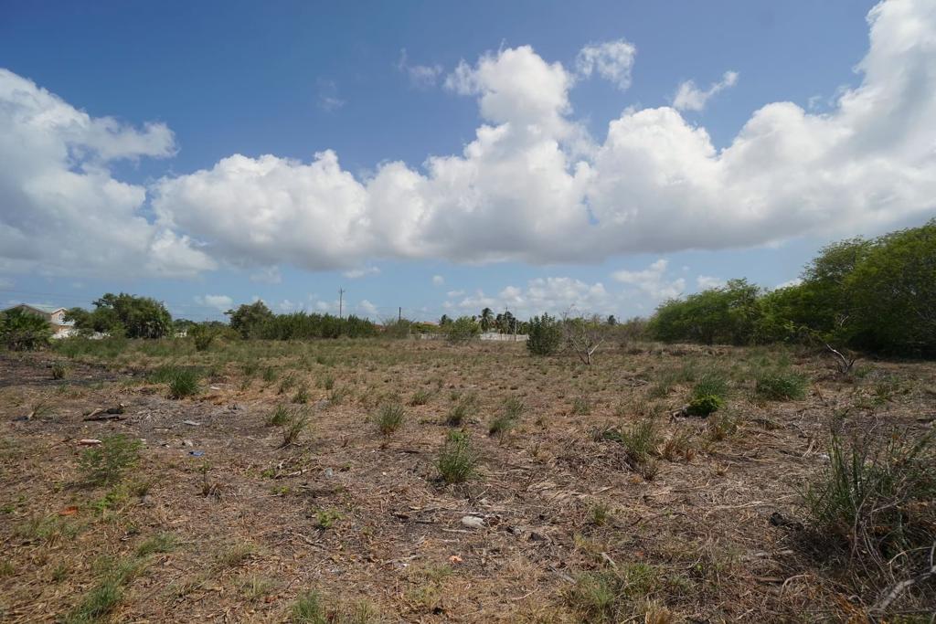 listing image with ID 87726