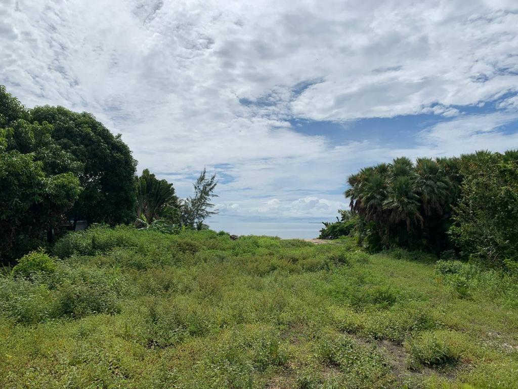 listing image with ID 103353