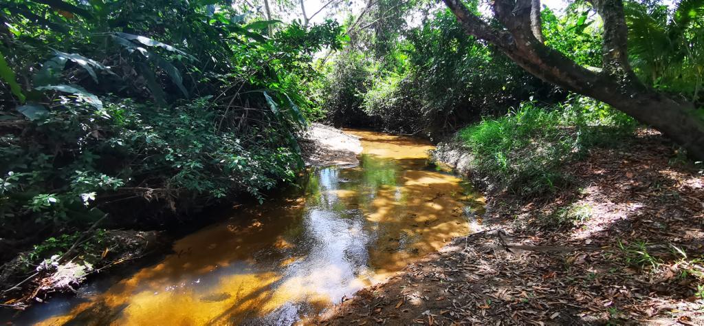 listing image with ID 84050
