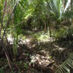 listing image thumbnail with ID 92475