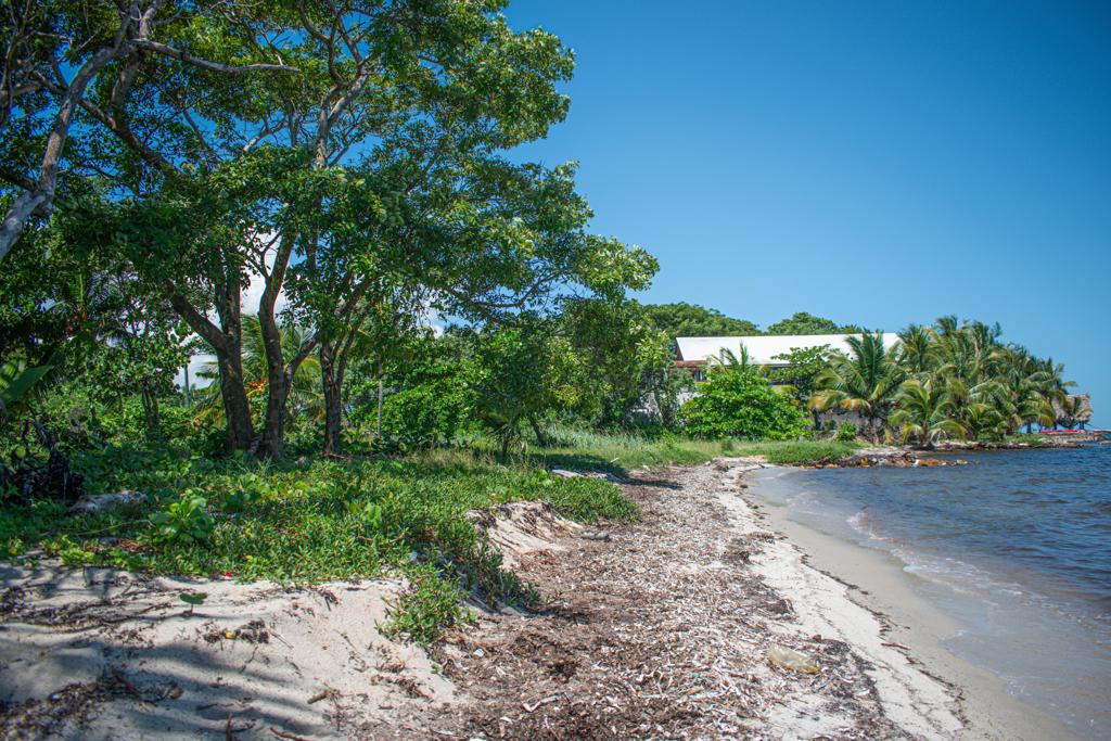 listing image with ID 93568