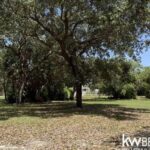 listing image thumbnail with ID 87218