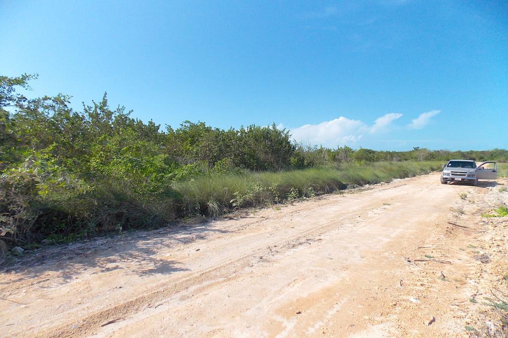 listing image with ID 97752