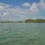 listing image thumbnail with ID 100230