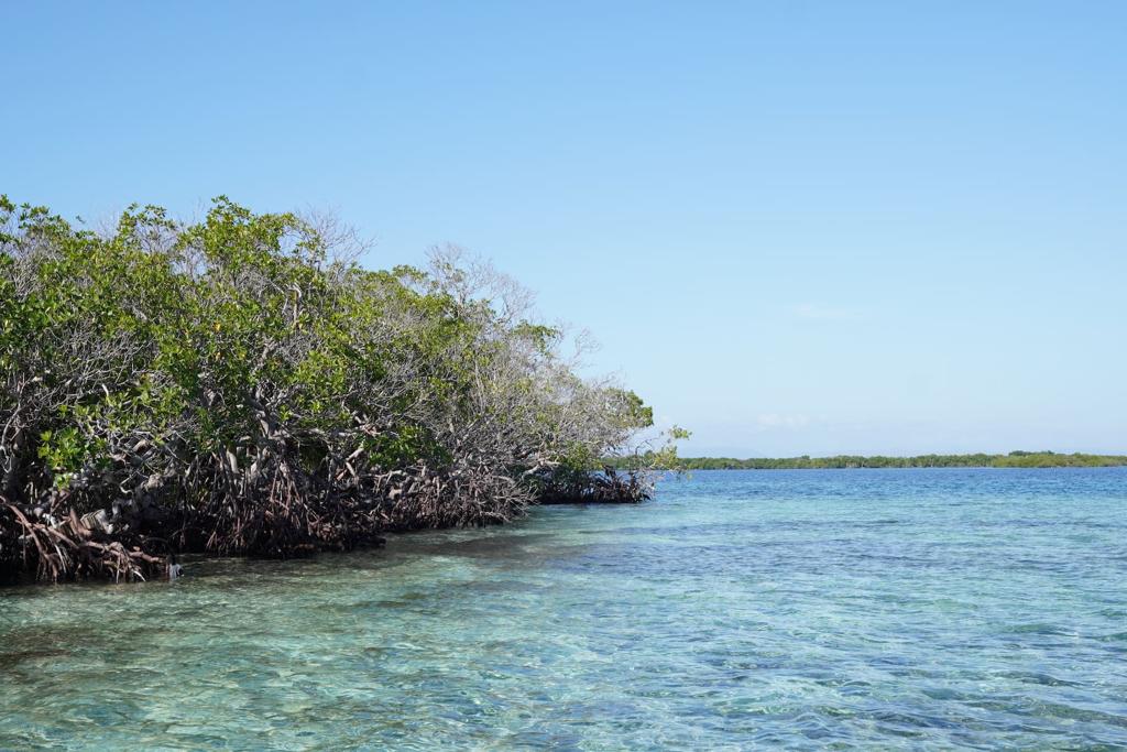 listing image with ID 107977