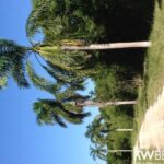 listing image thumbnail with ID 75695