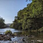 listing image thumbnail with ID 84571