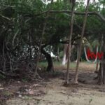 listing image thumbnail with ID 103365