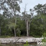 listing image thumbnail with ID 89212