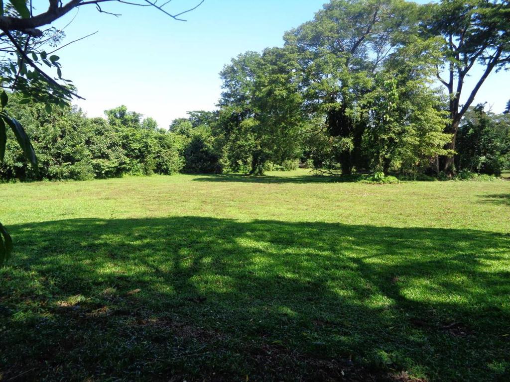 listing image with ID 104439