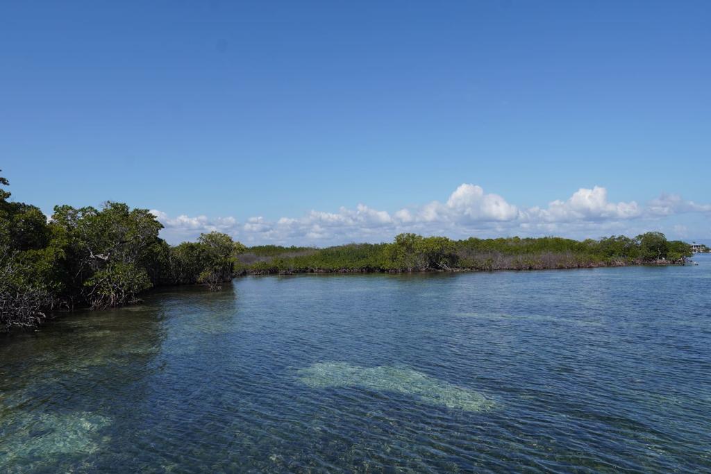 listing image with ID 84804
