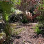 listing image thumbnail with ID 96787