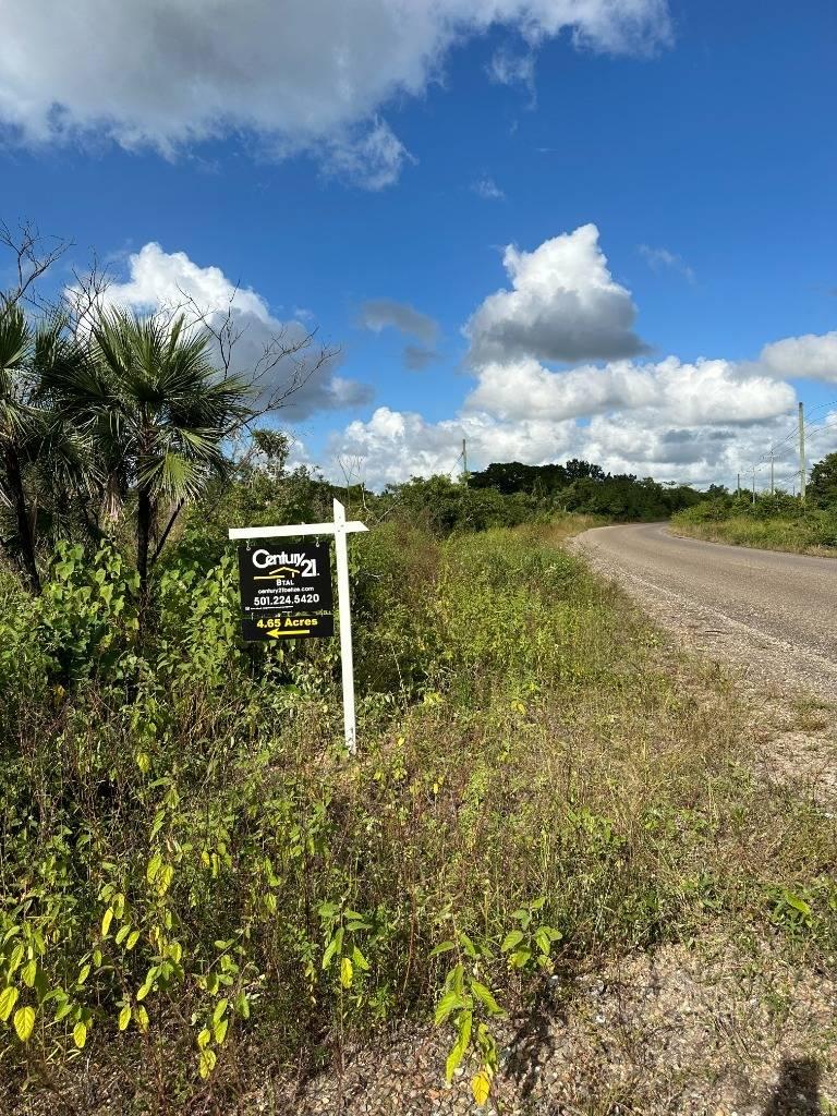 listing image with ID 76999