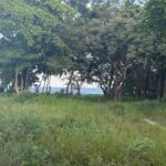 listing image thumbnail with ID 93563