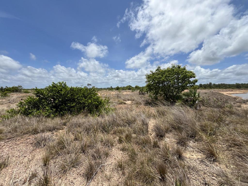 listing image with ID 80452