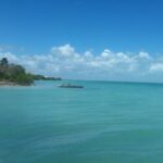 listing image thumbnail with ID 94611