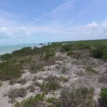 listing image thumbnail with ID 107235