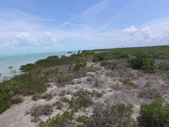 listing image with ID 107235