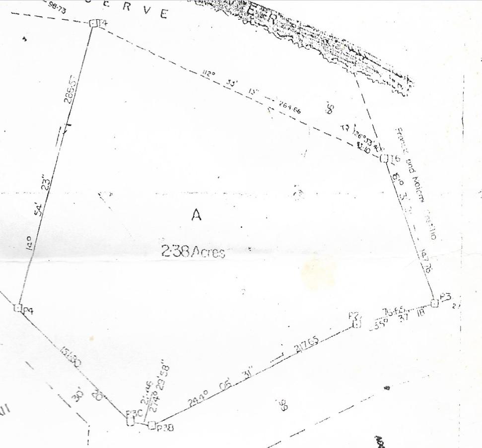 listing image with ID 94339
