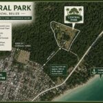 listing image thumbnail with ID 92505