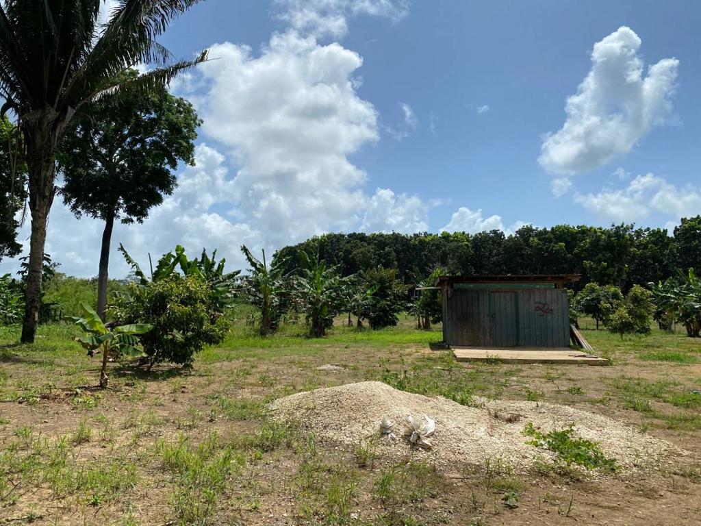 listing image with ID 104717