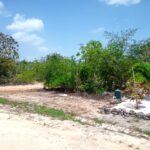 listing image thumbnail with ID 98622