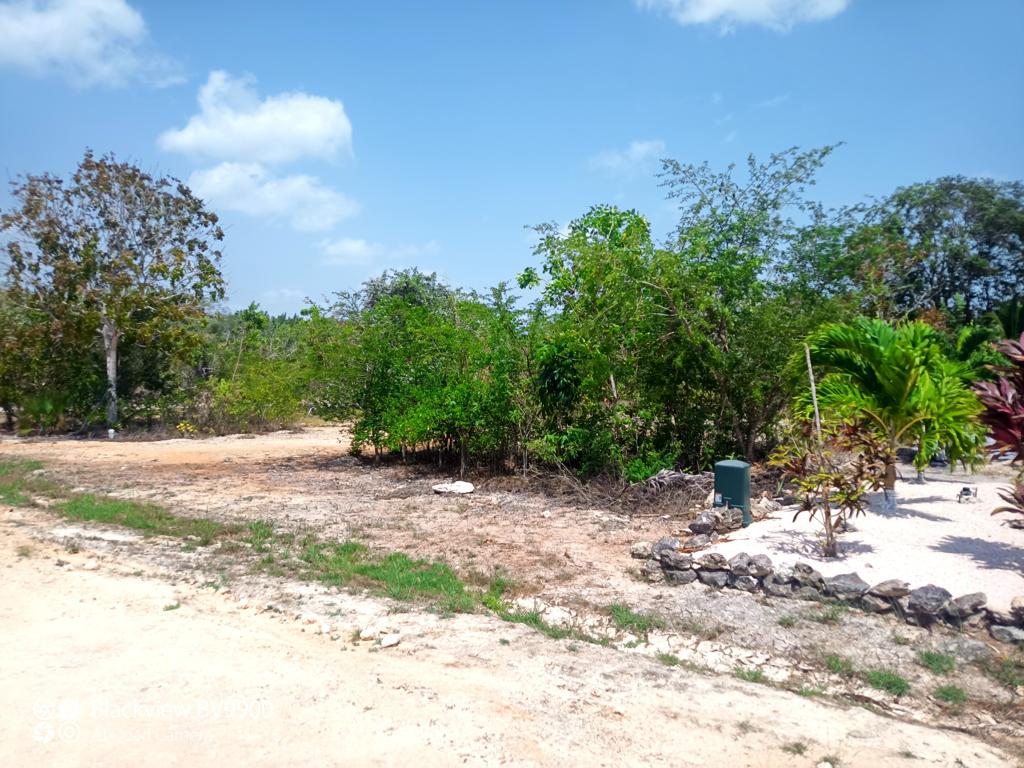 listing image with ID 98622