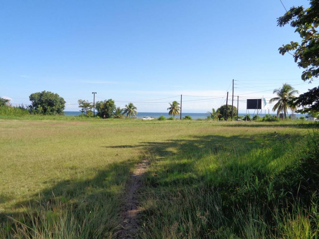 listing image with ID 81705