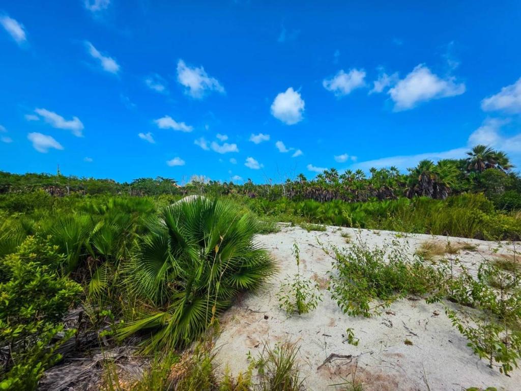 listing image with ID 107783
