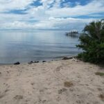 listing image thumbnail with ID 103350