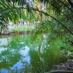 listing image thumbnail with ID 87765